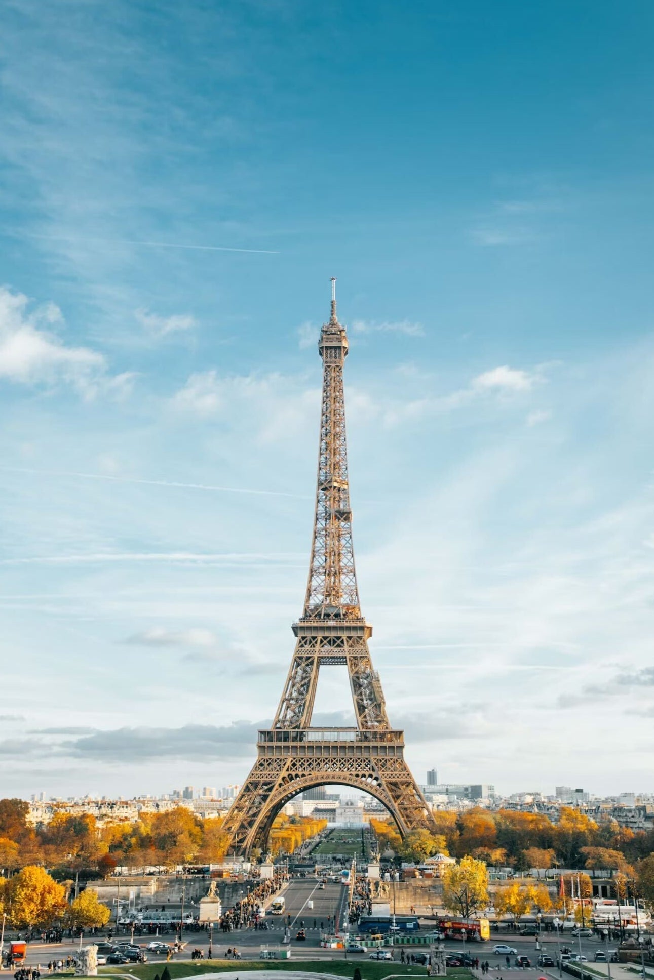 Regular Membership Subscription